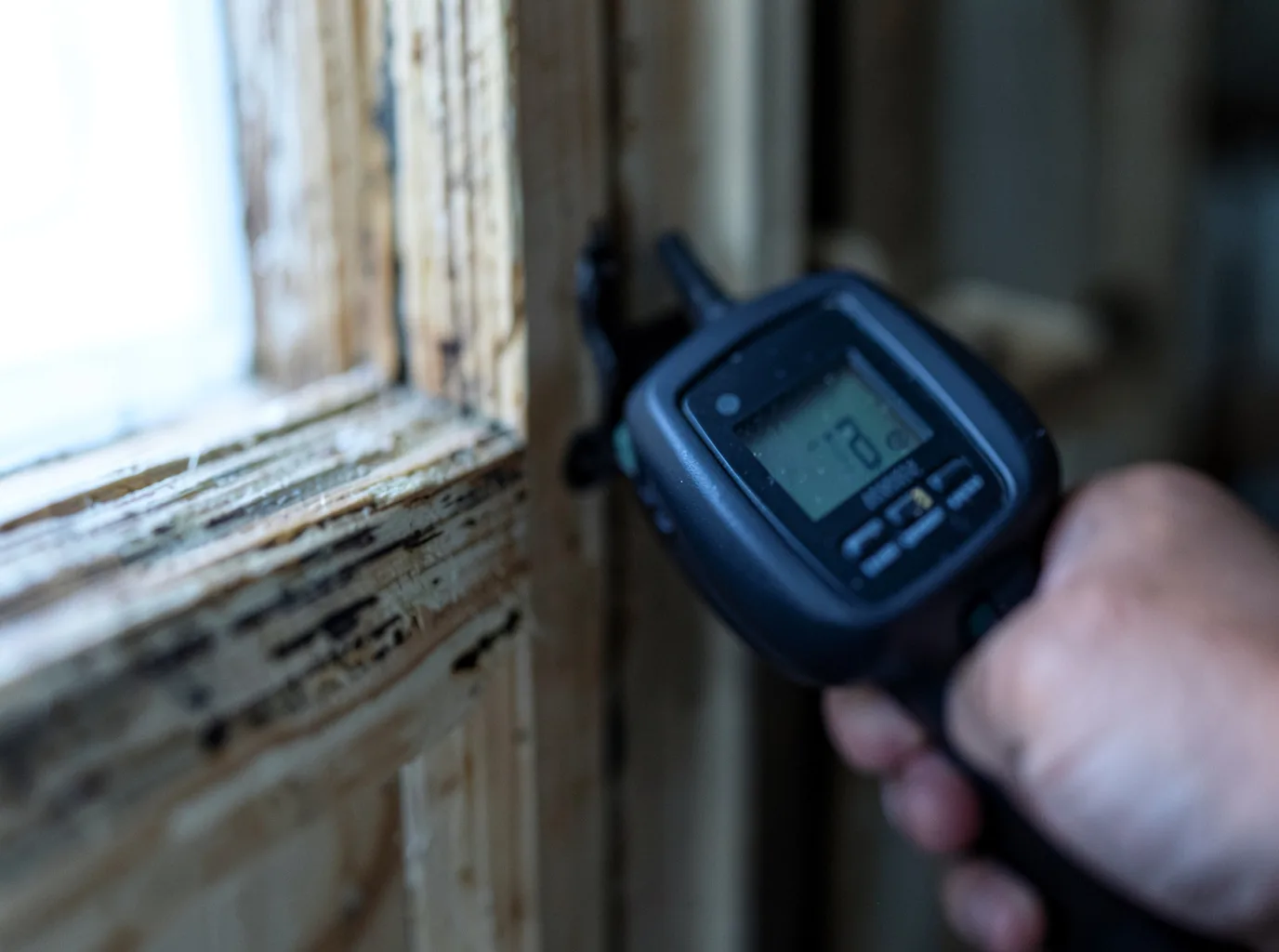 Moisture Inspection And Documentation in Staatsburg, NY